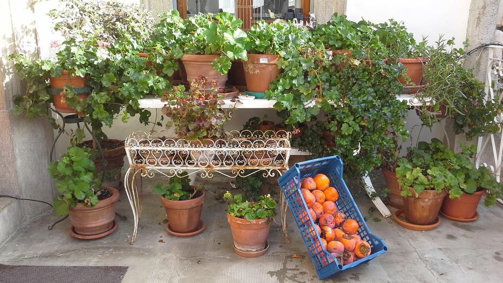 Villa Maria Bed & Breakfast, Corridonia, Marche Εξωτερικό φωτογραφία